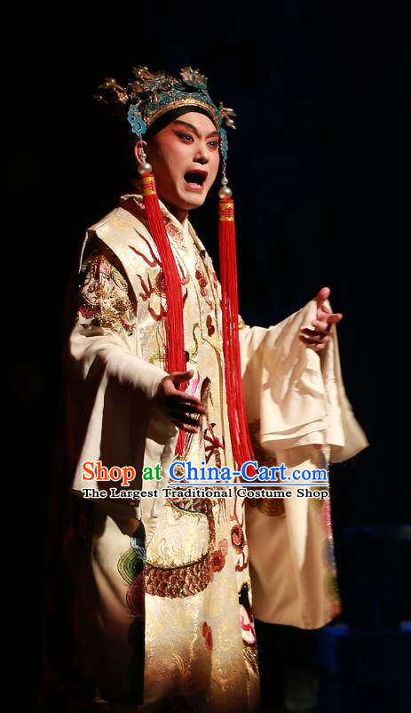 Zhen Guan Flourishing Age Chinese Peking Opera Xiaosheng Garment Costumes and Headwear Beijing Opera Apparels Clothing Emperor Li Shimin Embroidered Robe