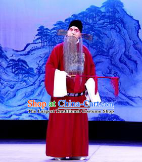 Tun Wu Hen Chinese Peking Opera Elderly Male Garment Costumes and Headwear Beijing Opera Laosheng Apparels Official Zhuge Jin Clothing