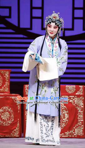 Chinese Beijing Opera Hua Tan Apparels Costumes and Headdress Han Ming Fei Traditional Peking Opera Actress Wang Zhaojun Young Female Dress Garment