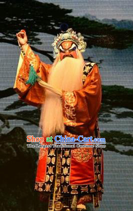 The Lotus Lantern Chinese Shanxi Opera Jing Apparels Costumes and Headpieces Traditional Jin Opera Elderly Male Garment Taoist Clothing