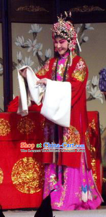 Chinese Henan Opera Young Beauty Dou Qiaojie Garment Costumes and Headdress Pao Bian Jing Traditional Qu Opera Actress Apparels Diva Red Dress