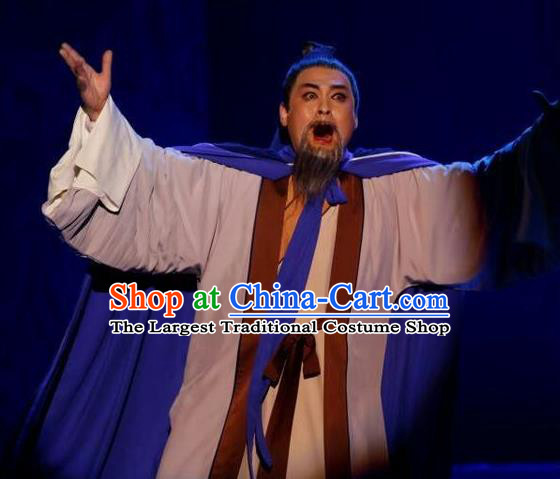 Chang Bai Han Ru Chinese Lu Opera Elderly Male Apparels Costumes and Headpieces Traditional Shandong Opera Laosheng Garment Old Scholar Zhu Wenhan Clothing