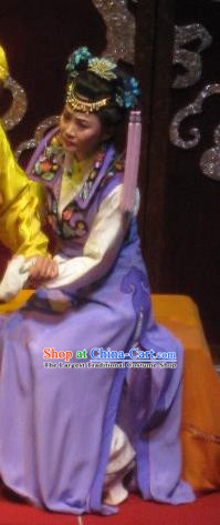 Chinese Beijing Opera Qing Dynasty Imperial Consort Garment Costumes and Headdress Shao Nian Tian Zi Traditional Qu Opera Diva Wu Yunzhu Apparels Actress Purple Dress