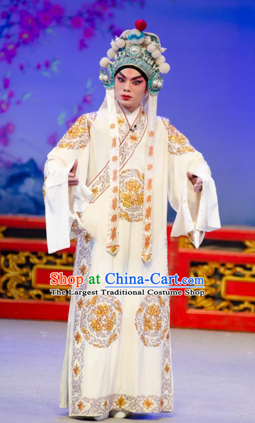 The Princess in Distress Chinese Guangdong Opera Young Male Yelu Junxiong Apparels Costumes and Headpieces Traditional Cantonese Opera Wusheng Garment Clothing