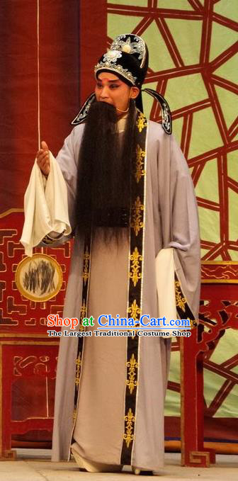 Qian Tang Su Xiaoxiao Chinese Guangdong Opera Ruan Shaoye Apparels Costumes and Headpieces Traditional Cantonese Opera Elderly Male Garment Laosheng Clothing