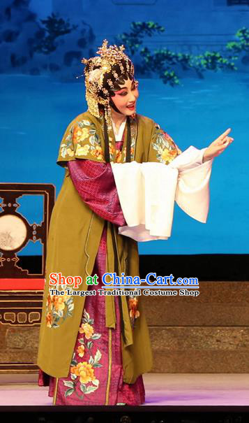 Chinese Cantonese Opera Middle Age Woman Garment Legend of Lun Wenxu Costumes and Headdress Traditional Guangdong Opera Dame Apparels Landlord Shiva Dress