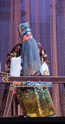 The Romance of Hairpin Chinese Guangdong Opera Prime Minister Wan Si Apparels Costumes and Headpieces Traditional Cantonese Opera Laosheng Garment Elderly Male Clothing