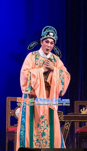 The Romance of Hairpin Chinese Guangdong Opera Wang Shipeng Apparels Costumes and Headpieces Traditional Cantonese Opera Scholar Garment Niche Clothing