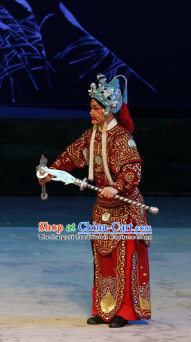 Liu Yi Delivers A Letter Chinese Guangdong Opera Wusheng Apparels Costumes and Headpieces Traditional Cantonese Opera Martial Male Garment Armor Clothing