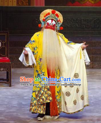 Story of the Violet Hairpin Chinese Guangdong Opera Duke Apparels Costumes and Headpieces Traditional Cantonese Opera Jing Garment Swordsman Clothing