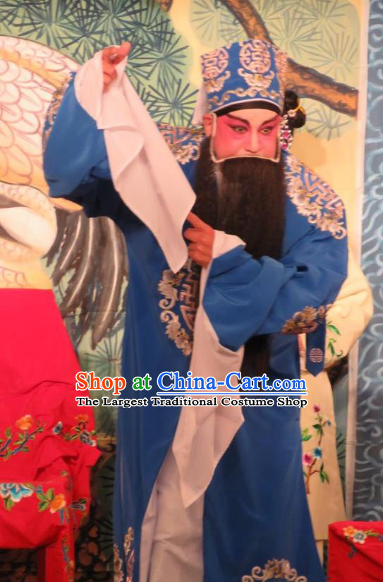 Hua Tian Ba Xi Chinese Guangdong Opera Landlord Liu Deming Apparels Costumes and Headpieces Traditional Cantonese Opera Laosheng Garment Clothing