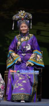 Chinese Cantonese Opera Elderly Female Garment Barwo Guild Costumes and Headdress Traditional Guangdong Opera Dame Apparels Laodan Dress