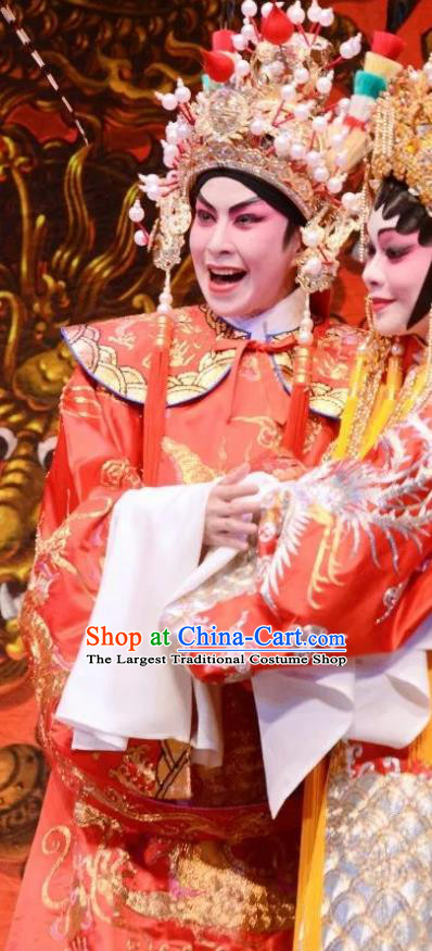 Chinese Guangdong Opera Xiaosheng Apparels Costumes and Headpieces Traditional Cantonese Opera Young Man Wei Jianhun Garment Crown Prince Clothing