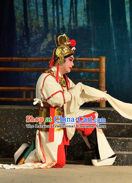 Chinese Guangdong Opera General Wei Tuo Apparels Costumes and Headwear Traditional Cantonese Opera Martial Male Garment Wusheng Clothing