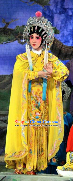 Chinese Cantonese Opera Wudan Garment The Sword Costumes and Headdress Traditional Guangdong Opera Swordswoman Apparels Martial Female Yellow Dress