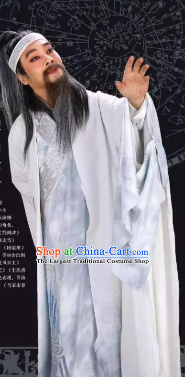 Luo Xiahong Chinese Sichuan Opera Elderly Scholar Apparels Costumes and Headpieces Peking Opera Highlights Astronomer Garment Laosheng Clothing