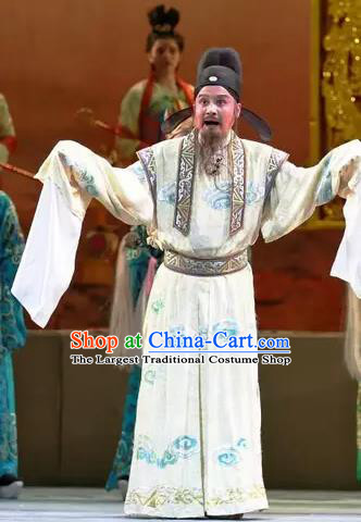 Shi Jiu Taibai Chinese Sichuan Opera Li Bai Apparels Costumes and Headpieces Peking Opera Highlights Scholar Garment Elderly Male Clothing