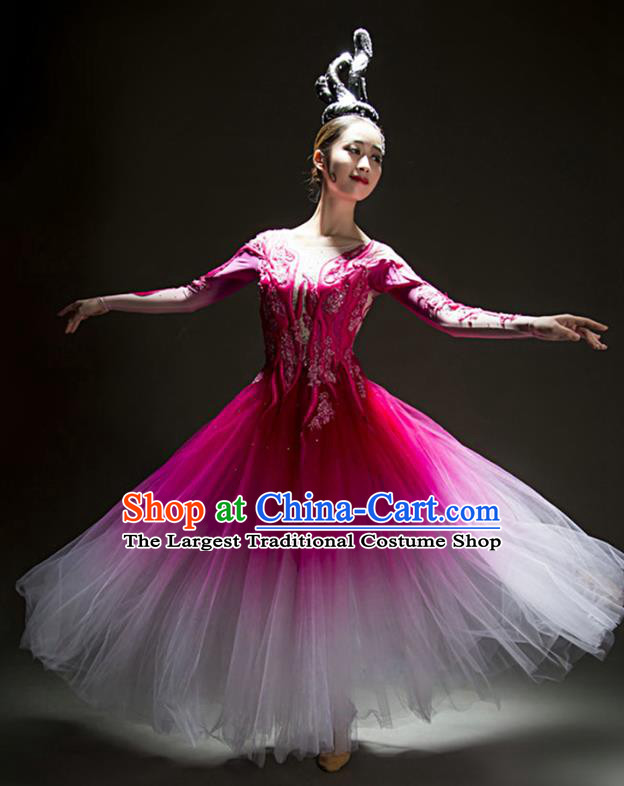 China Modern Dance Stage Performance Rosy Veil Dress Woman Solo Dance Costume