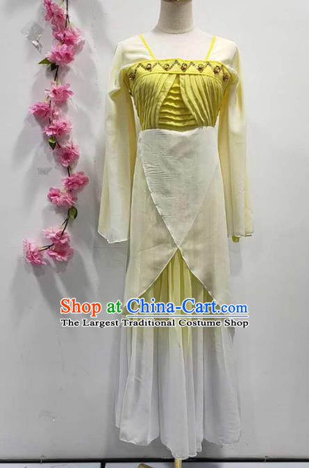 China Classical Dance Clothing Fan Dance Costume Stage Performance Yellow Dress