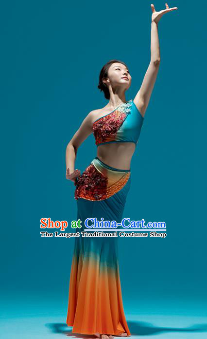 Chinese Traditional Dai Nationality Peacock Dance Dress Yunnan Ethnic Performance Clothing