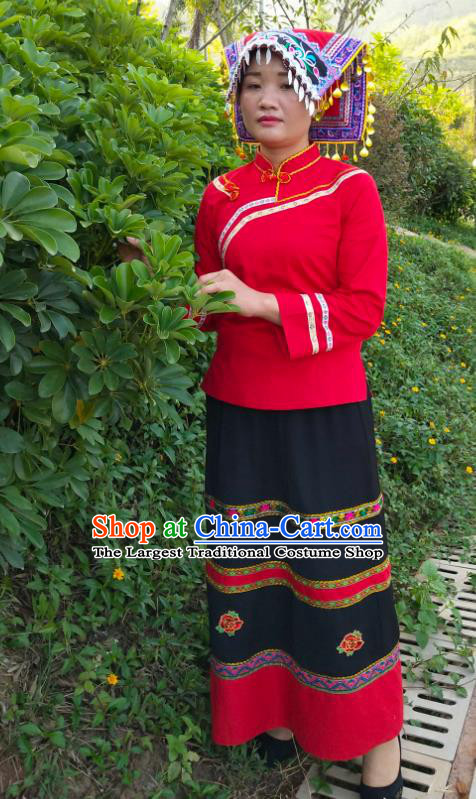 Chinese Traditional Guizhou Ethnic Female Suits Clothing Bouyei Nationality Wedding Dress Red Blouse Blouse and Skirt