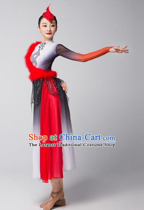 Top Chinese Classical Dance Dress Woman Group Dance Garment Costume Traditional Stage Performance Clothing