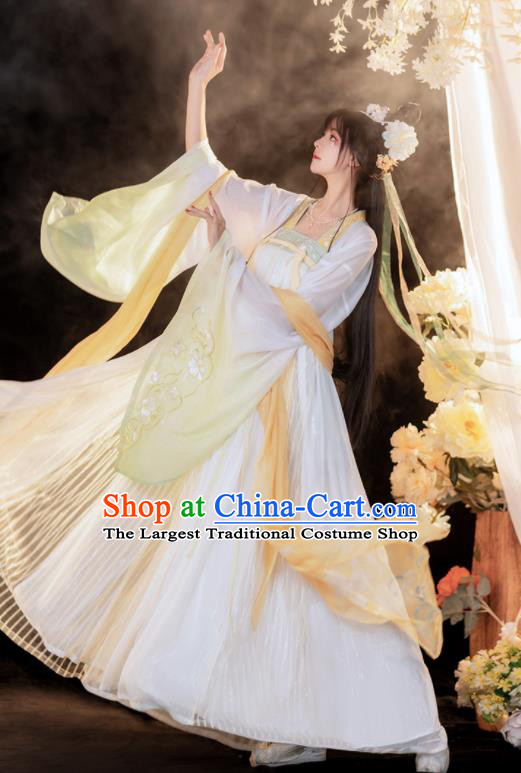 China Traditional Tang Dynasty Palace Beauty Garment Costumes Ancient Fairy Hanfu Dress Clothing