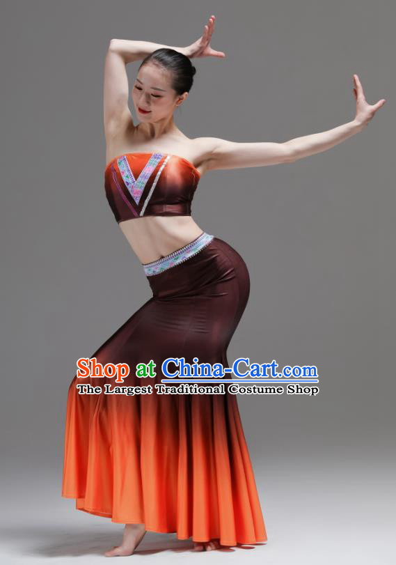 Chinese Dai Minority Performance Orange Dress Outfits Yunnan Nationality Clothing Peacock Dance Costumes Ethnic Woman Garments