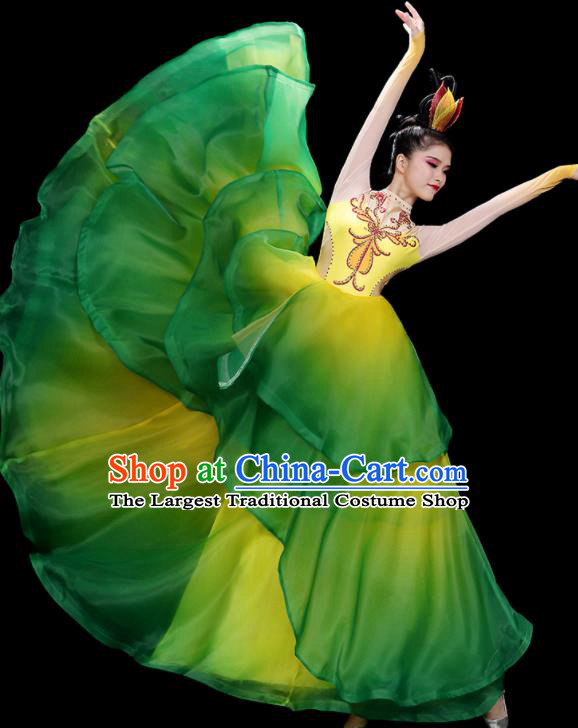 China Flower Dance Costume Stage Performance Garments Modern Dance Clothing Opening Dance Green Dress