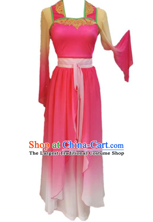 Chinese Beauty Dance Garment Costumes Classical Dance Clothing Women Stage Performance Pink Dress