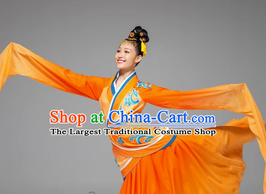 Classical Dance Water Sleeve Dance Costume Jade Dance Long Water Sleeve National Performance Costume