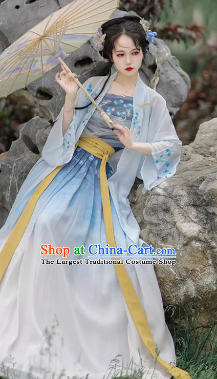 China Song Dynasty Village Girl Clothing Traditional Woman Hanfu Costumes Ancient Young Lady Blue Dresses