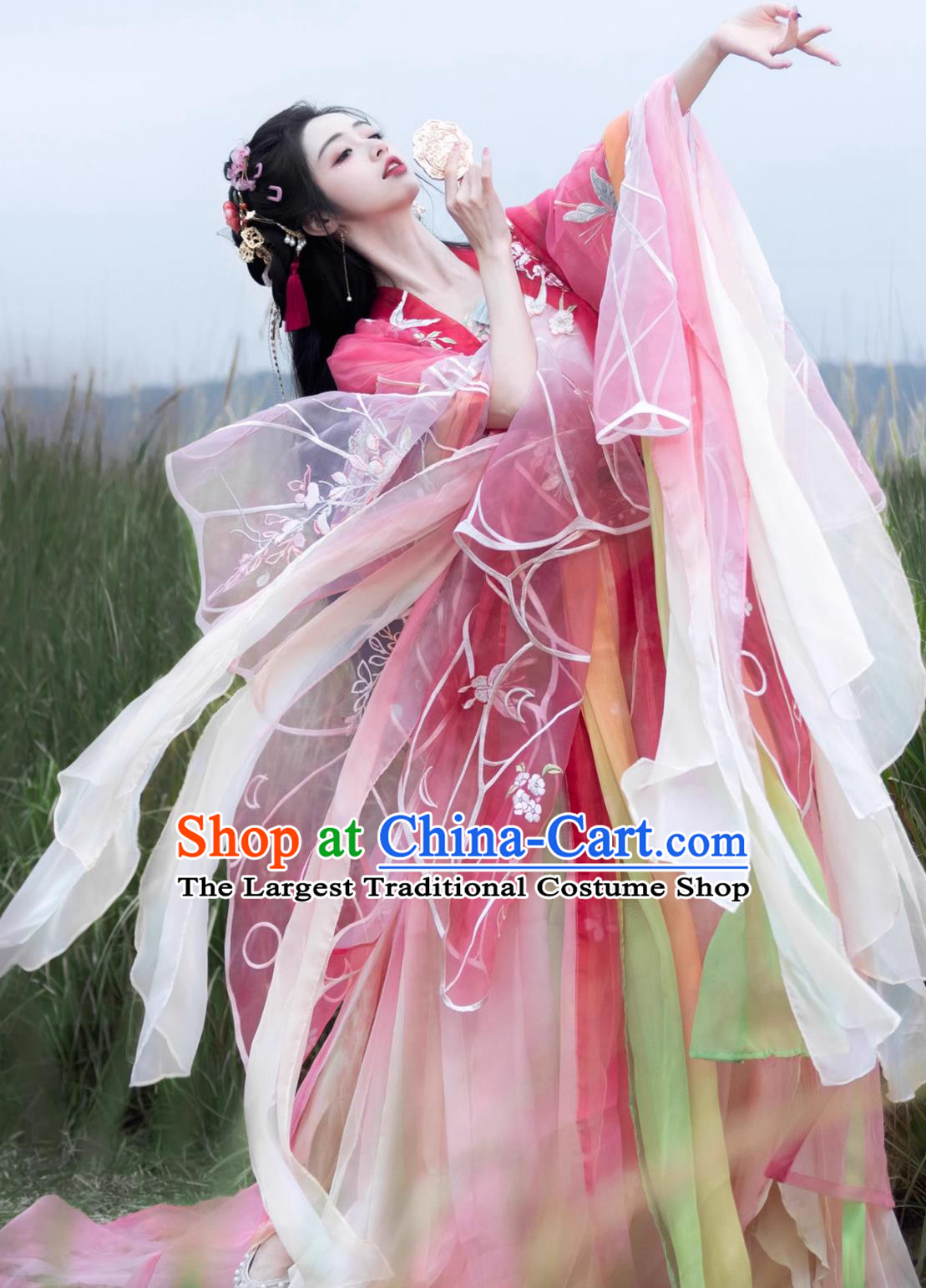 Chinese Princess Embroidered Heizi Dress Ancient Goddess Costumes Hanfu Online Shop