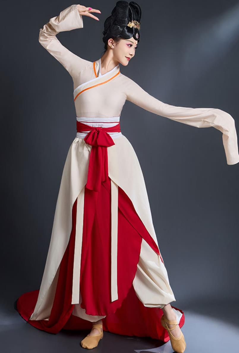 Women Chinese Style Elegant Han Tang Dance Clothing Classic Dance Performance Costume Water Sleeve Dance Training Dress