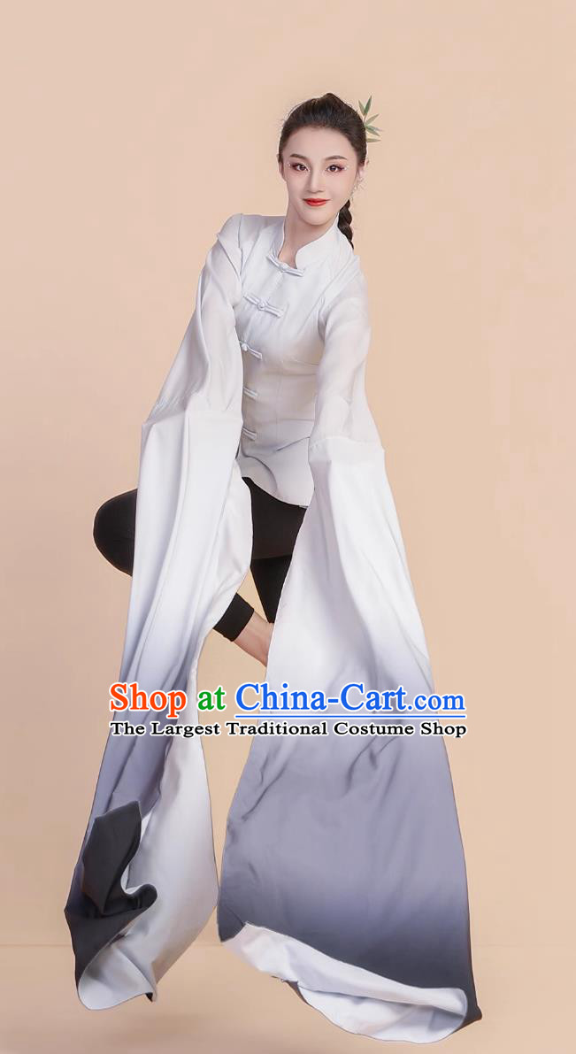 Classical Dance Performance Wear Professional Opera Water Sleeves Chinese Dance Practice Costume
