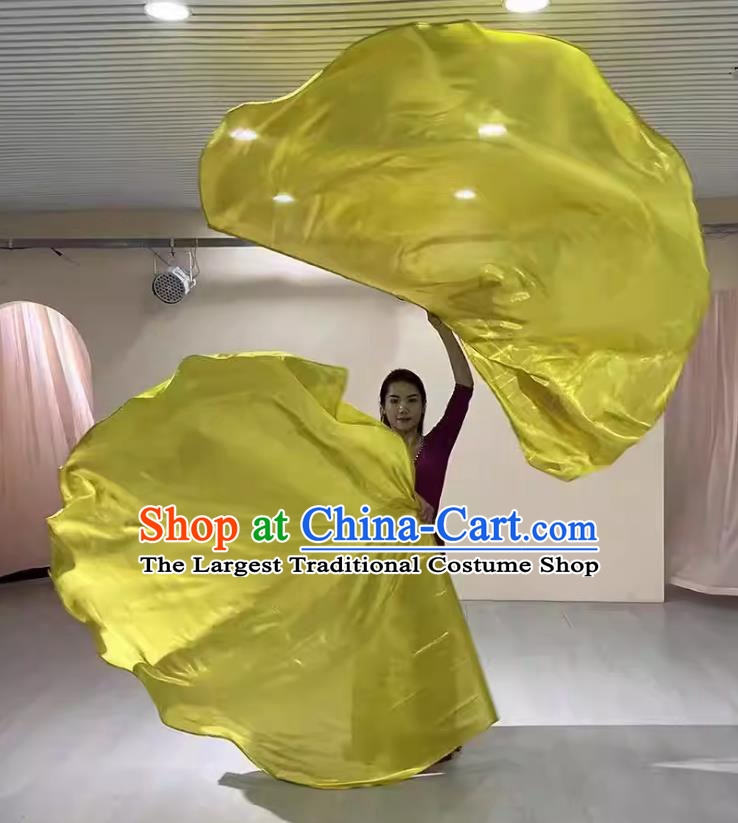 Golden Dance Flag Shape Fans Transparent Wings Sports Event Handheld Performance Prop Opening Dance Fans